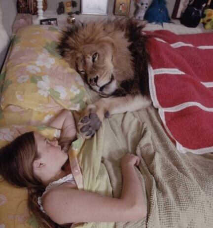 löwe und tippi hedren